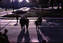 Fall1962-PledgeDay.jpg